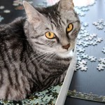 thea-pusslar_web